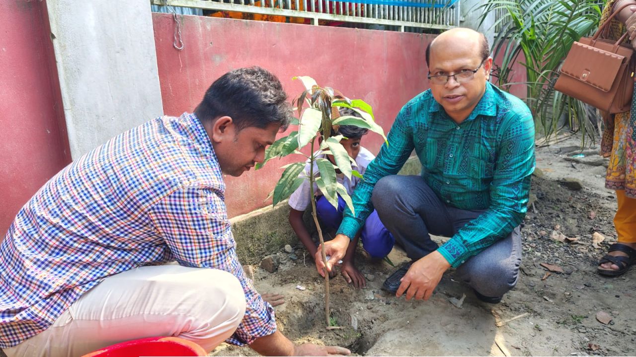 হামছাদী ধনপুর প্রাথমিক বিদ্যালয়ে শিক্ষা কর্মকর্তার চারা রোপণ 